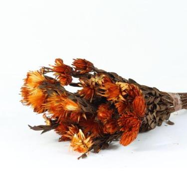 Imagem de Planta Seca Arapurama Desidratada Laranja - Pense Flores