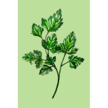 Imagem de Petersilie: Notizbuch (120 Seiten, 15x23cm, gepunktet) Dotted Bullet Grid Tagebuch Journal