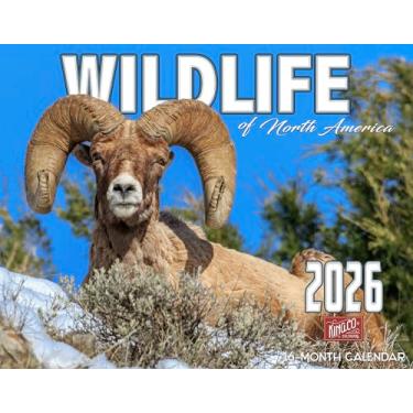 Imagem de Calendário de parede da vida selvagem da América do Norte 2026 16 meses GG tamanho 35,5 x 56, ovelha, urso, veado, alce, calendário da The KING Company-Monster Calendars