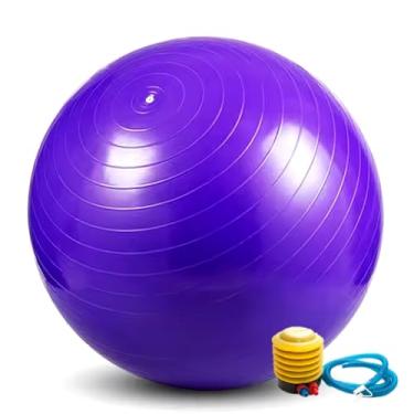 Imagem de Bola de Pilates 65cm com Bomba Fitness para Yoga Abdominal Ginástica Fisioterapia até 150kg (ROXO)