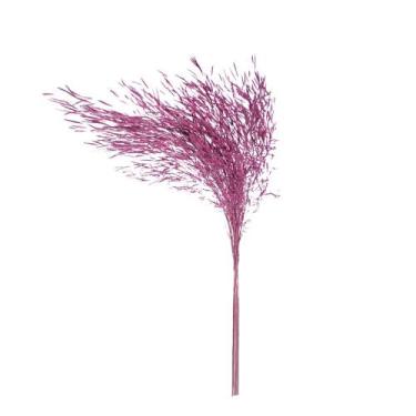Imagem de Capim Chorão Rosa Desidratado - Pense Flores