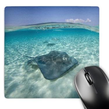 Imagem de 3dRose LLC Mouse pad 20,3 x 20,3 x 0,63 cm, Cayman isl and s, Hawksbill Sea Turtle and Coral Reef -Ca42 Pso0049 - Paul Souders (mp_74846_1)