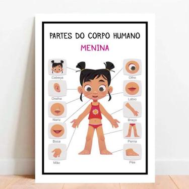 Imagem de Placa Educacional Partes do Corpo Humano Menina - TACOLADO PAPEL DE PA