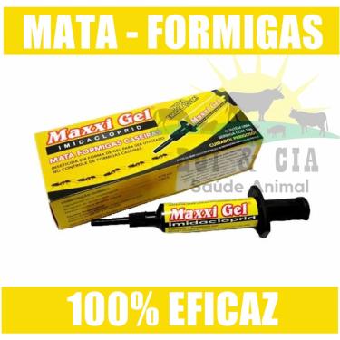 Imagem de Maxxi Gel Para Formiga Doceira (seringa 10g) - 1 Unidade
