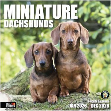 Imagem de RED EMBER Calendário de parede miniatura Dachshunds 2026 12 meses | 30,5 cm x 61 cm aberto | Papel grosso e resistente | Presente | Calendário 2026