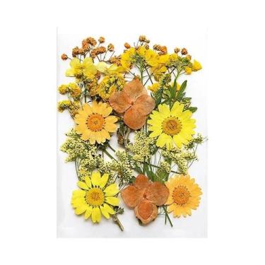 Imagem de Flores Naturais Prensadas E Secas Para Resina Epóxi, Arte Em Unhas DIY