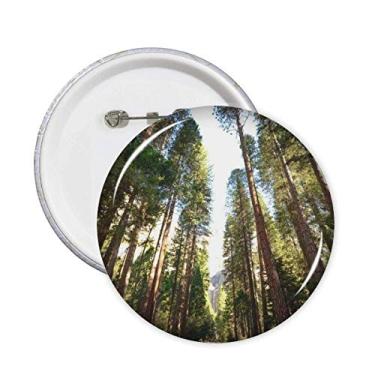 Imagem de Emblema de decoração com botões de distintivo com tema de natureza e ciência florestal verde 5 peças