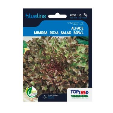 Imagem de Sementes de Alface Mimosa Roxa Salad Bowl, 5g, Ideal para Clima Ameno