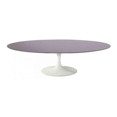 Imagem de Mesa Saarinen Oval Centro São Gabriel 120x80cm - Base Branca