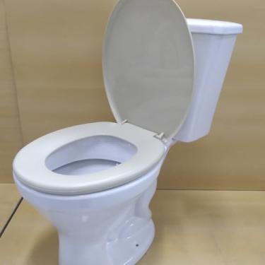 Imagem de Assento Tampa Vaso Sanitário Oval Universal Não Almofadado Resistente Confortável Diversas Cores(BEGE ESCURO - BG5)