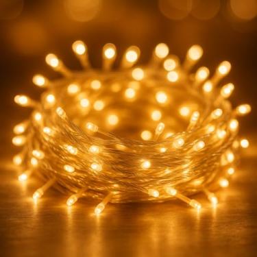 Imagem de Cordão Pisca LED Branco Quente 10 Metros 110V (3000, Kelvin, 110, Volts, 100, 1000, centímetros)