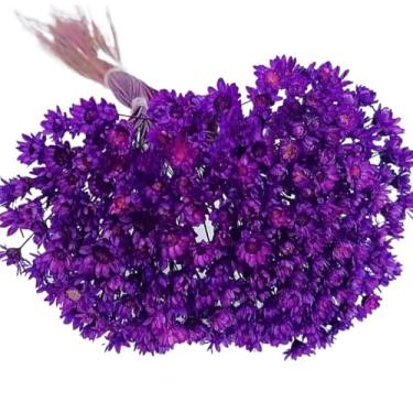 Imagem de Buquê de 300 Flores Secas Sempre Viva Mosquitinho – Mini Florzinhas Naturais para Arranjos e Decoração(VIOLETA)