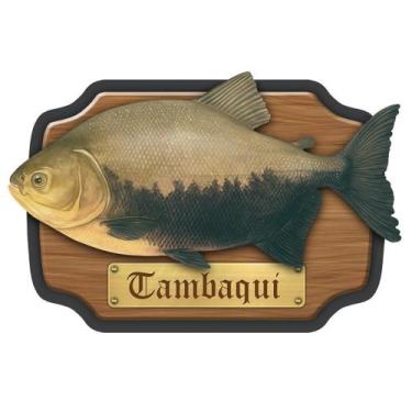 Imagem de Placa Quadro Decoração Mdf 3D Peixes Do Brasil - Tambaqui - Kf Imports