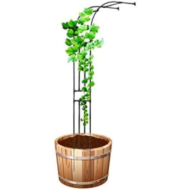Imagem de Arcos de jardim meio arco para videiras rosas, planta trepadeira, estrutura de metal, t...