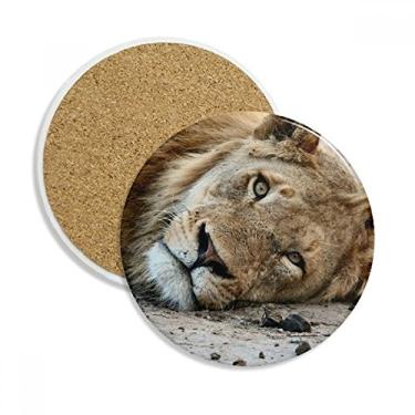 Imagem de Caneca porta-copos de leão de animal selvagem com organismo terrestre