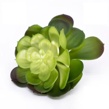 Imagem de Suculenta Planta Artificial Verde 14x16 Cm - D'rossi