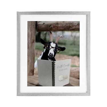 Imagem de Stupell Industries Health Benefits of Goat Cheese Impressão emoldurada branca sob vidro, design de Lori Deiter, 40 x 33