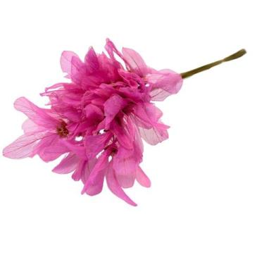 Imagem de Planta Seca Folha Asa de Barata Pink 50cm - Pense Flores