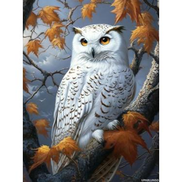Imagem de UPABLUNSO DIY Coruja Diamante Pintura 30,5 x 40,6 cm, Kits de Brocas Redondas, Arte em Mosaico para Adultos Relaxar Decoração de Parede de Casa Presente Festival