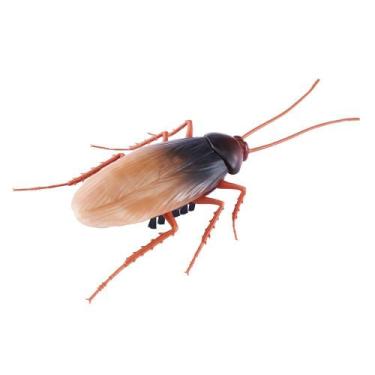 Imagem de Robotic cockroach - Robo Alive