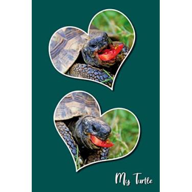 Imagem de My turtle: Lovable turtles. Care for turtles. Turtle notebook, gift for turtle breeders, terrarium friends. Gift for turtle friends. Format 15.24 x ... 120 pages. Notebook, Journal, glossy cover