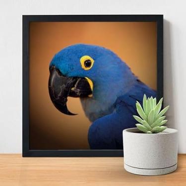 Imagem de Quadro Decorativo com Moldura 24x24 - Arara Azul