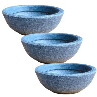 Imagem de vaso para plantas e flores mini cuia bacia 22cm cactos suculentas decoração (Azul, 3 unidades)