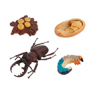 Imagem de Figura do inseto de 4 partes ninhada plástica do ciclo de vida animal 