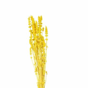 Imagem de Rubi Amarelo Desidratado - Pense Flores