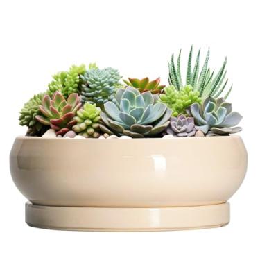 Imagem de EPFamily Grandes vasos de suculentas - vasos de bonsai de cerâmica de 33 cm para ambientes internos e externos, vaso raso com orifício de drenagem e bandeja, tigela redonda, vaso de bonsai grande