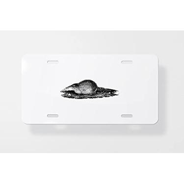 Imagem de Capa para placa de carro com gravação vintage Desman – Capa para placa de carro – Capa para placa de carro 15 x 30 cm