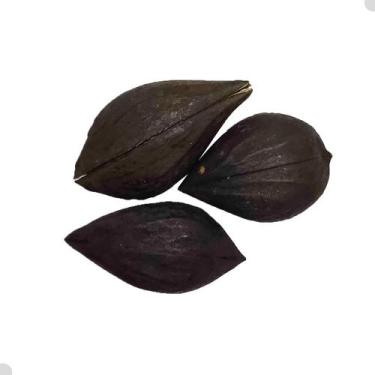 Imagem de Fava Garra de Exu Para Assentamento Ritual Religioso 1 Unidade - Rei D