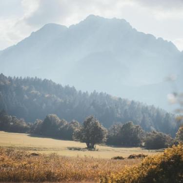 Imagem de Quadro Decorativo Paisagem de Árvores e Céu - Arte de Parede Elegante Tamanho 50x50cm