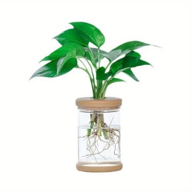 Imagem de Vaso de propagação com tampa para Pothos e Philodendron | Vaso de jardinagem interno de 12 cm de altura (não inclui plantas)