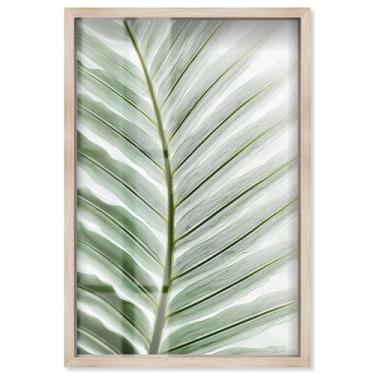 Imagem de Forest Filigree II Shadowbox Print Coastal Wall Art por Art Remedy, moldura loira, 28 x 40 cm