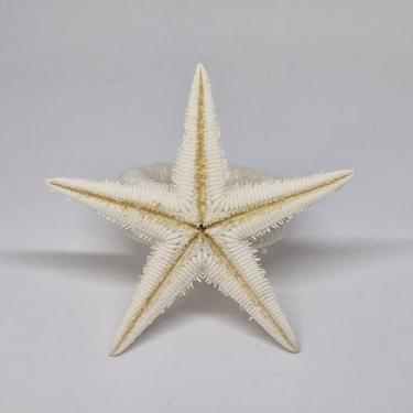 Imagem de Porta Guardanapo Estrela do Mar Natural