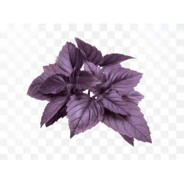 Imagem de Semente Hortaliça/Verdura/Especiaria monte seu kit personalizado - Alp