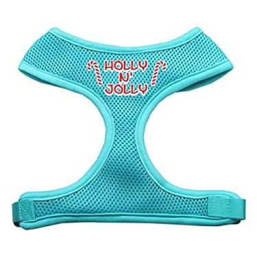 Imagem de Mirage Pet Products Holly N Jolly Arreios para cães de malha macia, pequeno, azul (aqua)