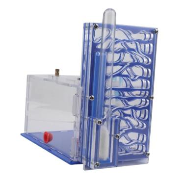 Imagem de Generic Caixa de para formigas, caixa de para formigas com cesto de ração, faça você mesmo, para mesa, sala de estar, cozinha doméstica, Azul