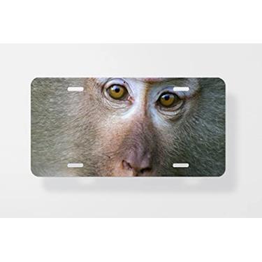 Imagem de Capa para placa de carro Macaque Macaco – Capa para placa de carro – Capa para placa de carro 15 x 30 cm