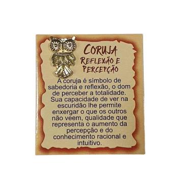 Imagem de Talismã Coruja Reflexão e Percepção
