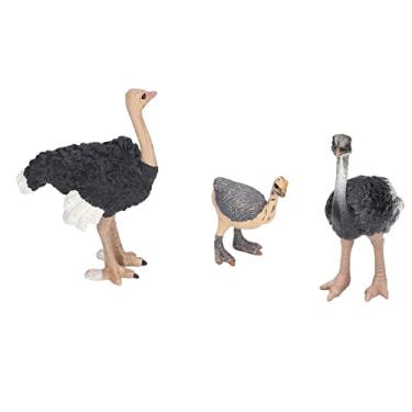 Imagem de Bichos de Pelúcia de Avestruz, Animais de Pelúcia de Brinquedo de Avestruz para Crianças, Animais de Pelúcia de Animais de Zoológico, Modelo de Animal de Brinquedo de Avestruz