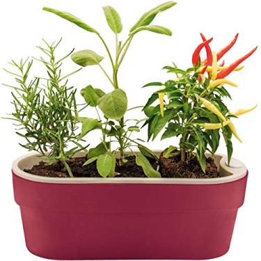 Imagem de Vaso Horta p/Plantas Autoirrigável Jardim Casa Apartamento