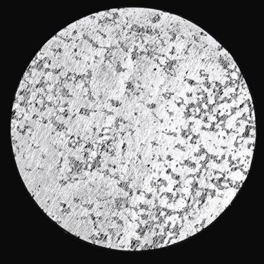 Imagem de WJIAAA Jogo americano descartável, prata, conjunto de 12, redondo, 33 cm, decoração de mesa de malha metálica para festa, casamento, Natal, Ação de Graças, dia dos namorados (prata)