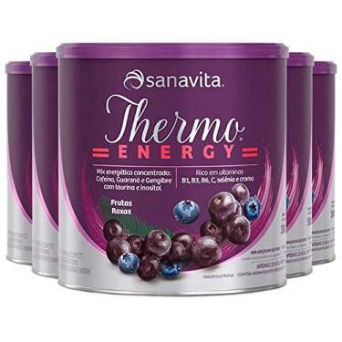 Imagem de Kit 5 Thermo energy Sanavita frutas roxas 300g