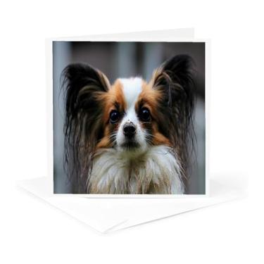 Imagem de 3dRose Imagem do retrato de um cartão Papillon (gc_255420_5)