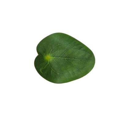 Imagem de Folha Descanso Para Peixe Betta 1 Unidade (05)