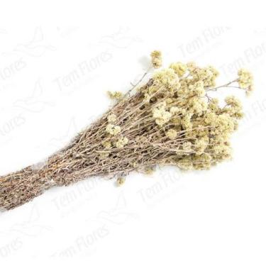 Imagem de Musgo Branco Pc 2 Lts Para Orquideas e Decoração Substrato - Tem Flore