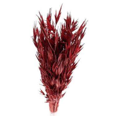 Imagem de Capim Trigao Vermelho Desidratado - Tem Flores