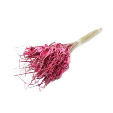 Imagem de Capim Estrela Rosa Desidratado - Tem Flores